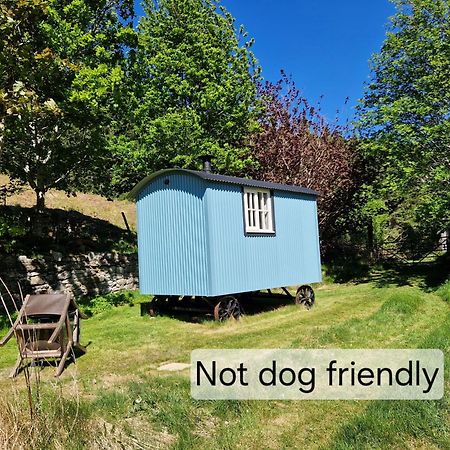 Craskie Glamping Pods Inverness Eksteriør billede